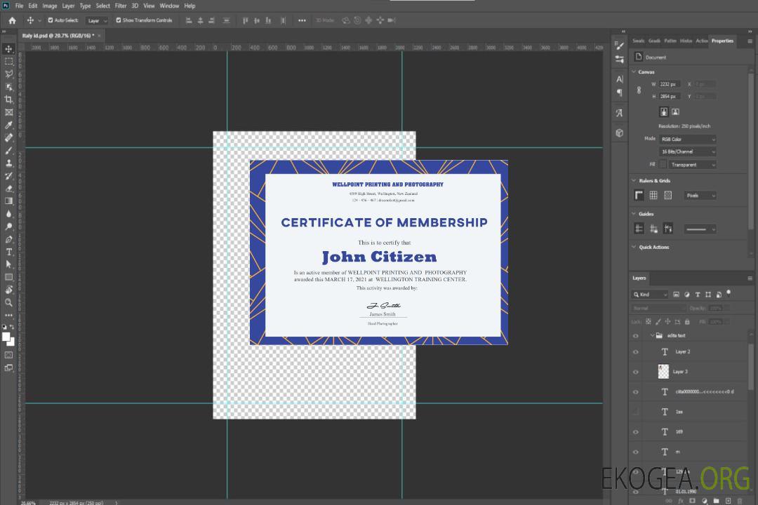 Certificat d'adhésion aux États-Unis template Certificat d'adhésion aux États-Unis template